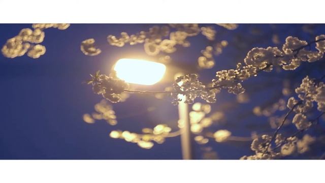 Sony NEX-5R - Helios 44M-6 58mm f2 Zenit смотреть онлайн