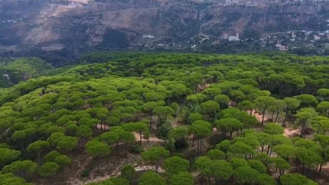 Загадки магических рун