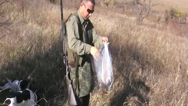 Лов на фазани в с. Лозица смотреть онлайн