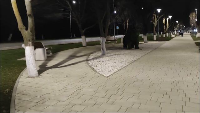 Красивый Лабинск. Аллея. смотреть онлайн