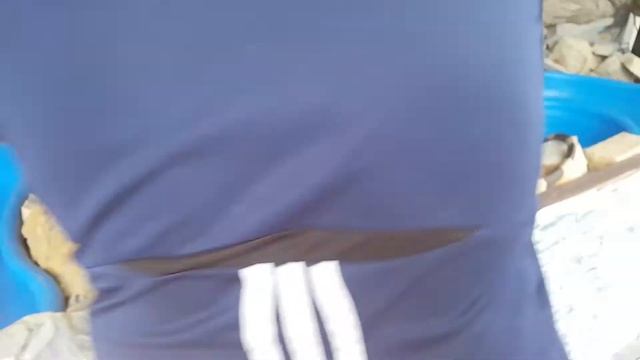 МОРСКИЕ приключения. экзотические животные смотреть онлайн