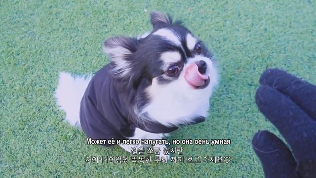 [Озвучка By Naya's Room] (SKZ VLOG) Хёнджин: выходной Хёни