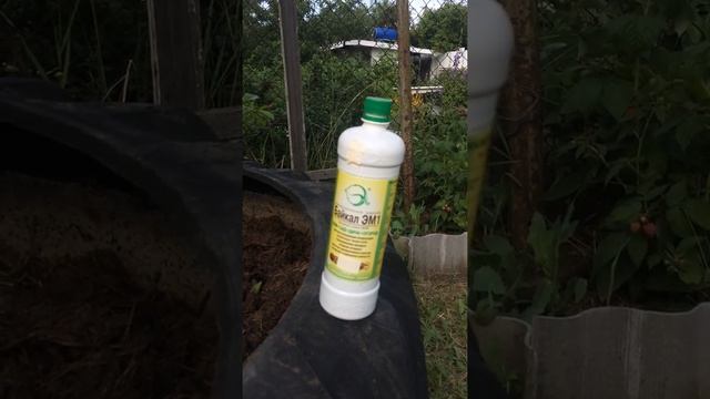 компостная яма на дачи смотреть онлайн