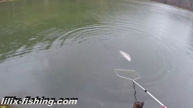 Raub Fisch Treffen "2" (Рыбалка в Германии) смотреть онлайн