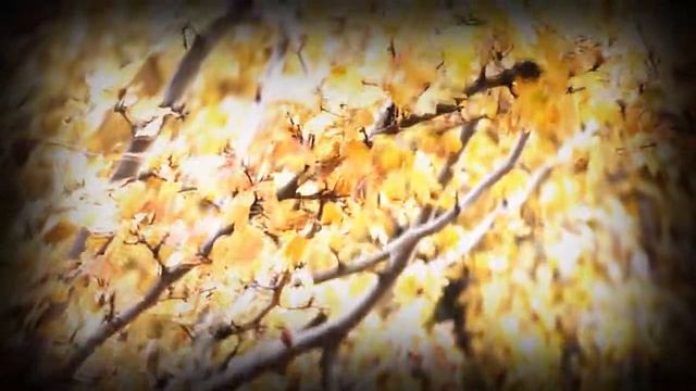 Что такое осень... смотреть онлайн