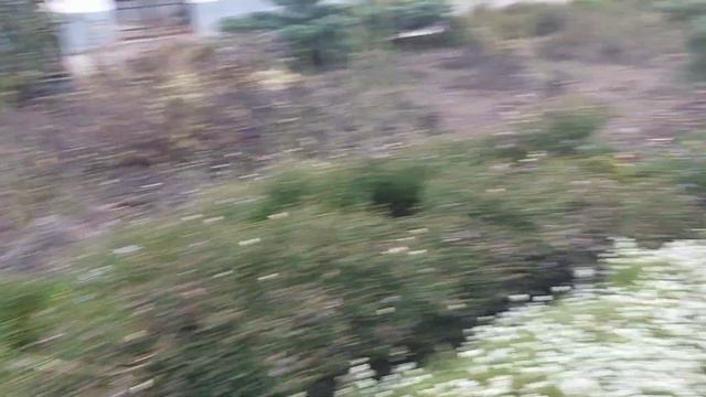 Обстановка в городе, поездка в Святогорскую Лавру, уборка во дворе. смотреть онлайн