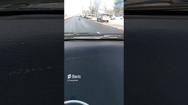 Снежный булыжник посреди дороге #Shorts #дорога смотреть онлайн