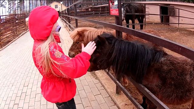 Поездка в мини-зоопарк // Из города в деревню смотреть онлайн