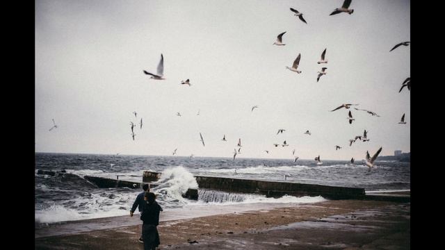 Даша и Серёжа - Океан смотреть онлайн