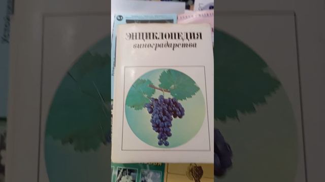 @ Сколько дней ? ...ч.4.36а. смотреть онлайн