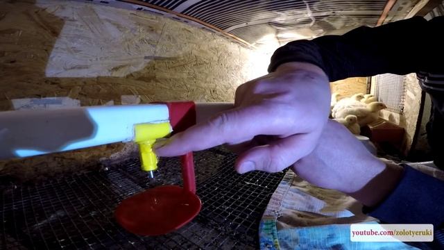 ЗАМЕНА НИППЕЛЯ В СИСТЕМЕ ПОЕНИЯ ДЛЯ ЦЫПЛЯТ - zolotyeruki смотреть онлайн