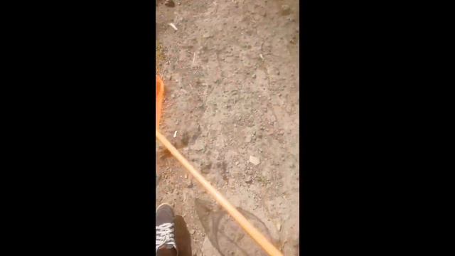 Ловля стрекоз часть #3 смотреть онлайн