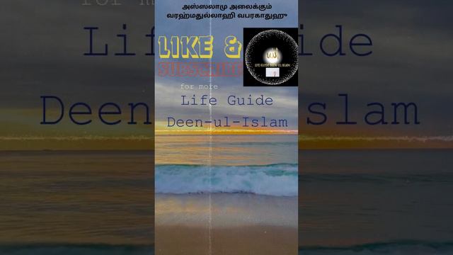 குர்ஆன் ஓதும் போது உங்கள்உள்ளம் சிலிர்த்தது உண்டா #tamilislamicbayan #motivation #abdulbasit #short смотреть онлайн