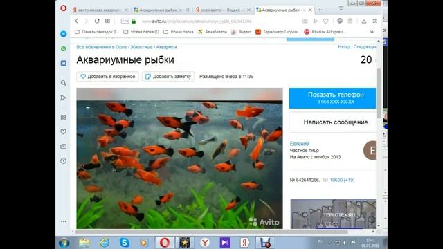 Где дешевле всего покупать аквариумных рыбок? смотреть онлайн