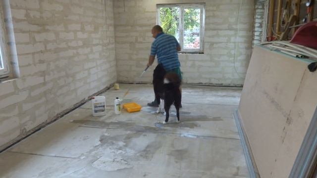 Грунтовали стяжку полов на кухне . Собачка Сёмка помогал мне лапкой . Очень либит с нами работать . смотреть онлайн