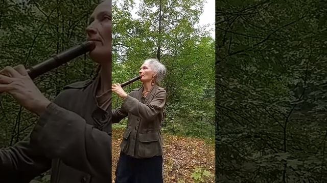 Лесная медитация и комары. :) смотреть онлайн