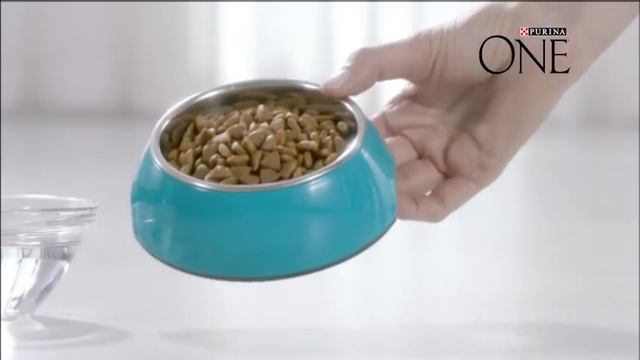 Здоровый питомец сегодня и завтра с PURINA ONE®