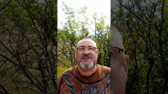 воды остановились выпуск68 смотреть онлайн