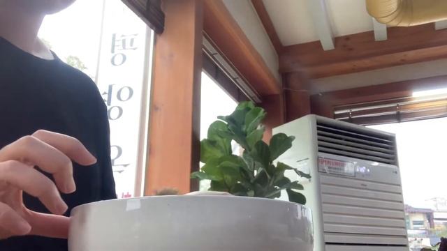 [sub]없는 영상모아서 짜낸 브이로그, 주기적으로 먹는음식, 곤부지메(昆布じめ),연어장,하카타분코, 차돌단면, 코스트코, 명태조림 смотреть онлайн