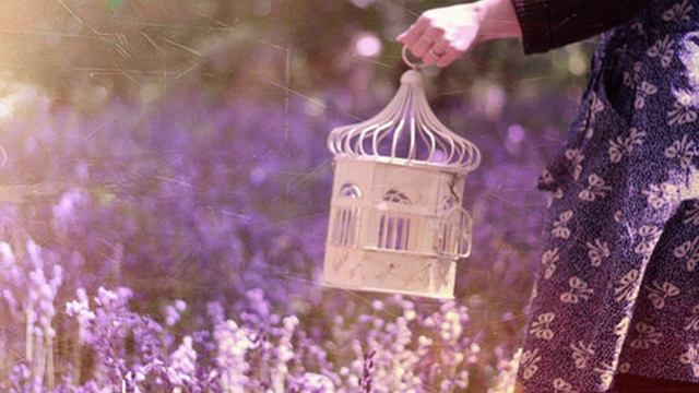 Lindsey Stirling - Song of the Caged Bird - смотреть онлайн