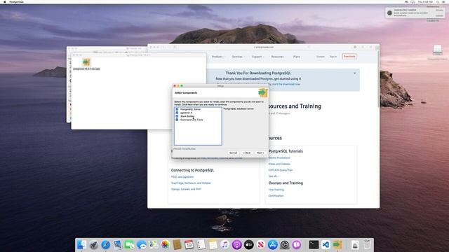 Installing Postgres Database on Mac: Part #24 Python API Course смотреть онлайн