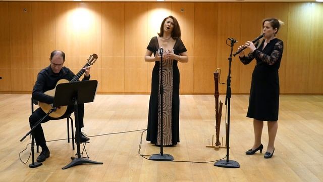 Sivan Rotem- Soprano, Inbar Solomon- Recorder, Oded Shoub- Guitar, Carlos Gardel- "Por Una Cabeza' смотреть онлайн