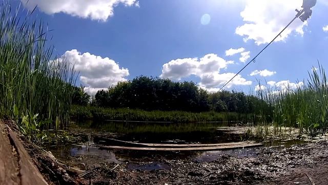 ловля карася на воронежской плотине смотреть онлайн