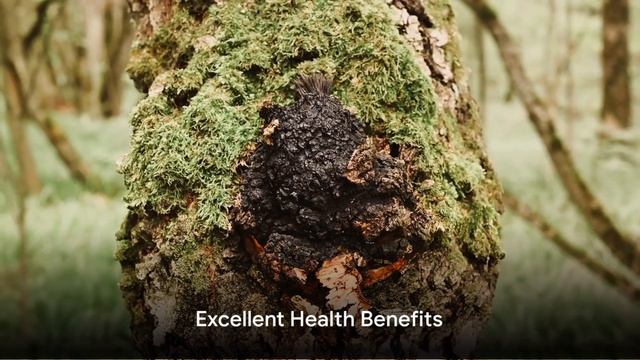 Mushroom Magic: Unveiling the Health Benefits смотреть онлайн