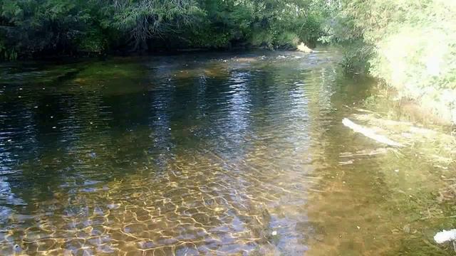 рыбалка на таёжной реке ходовая охота смотреть онлайн