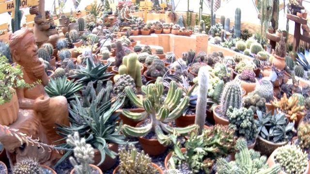 Нячанг. VinPearl, Остров развлечений. смотреть онлайн