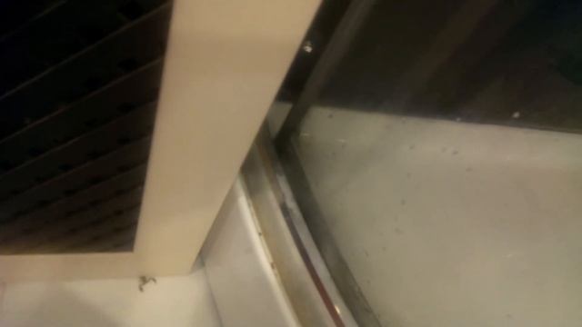 Отлов скорпиона на приманку. смотреть онлайн