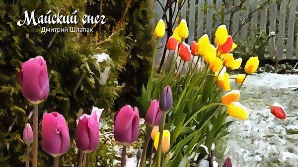 Майский снег смотреть онлайн