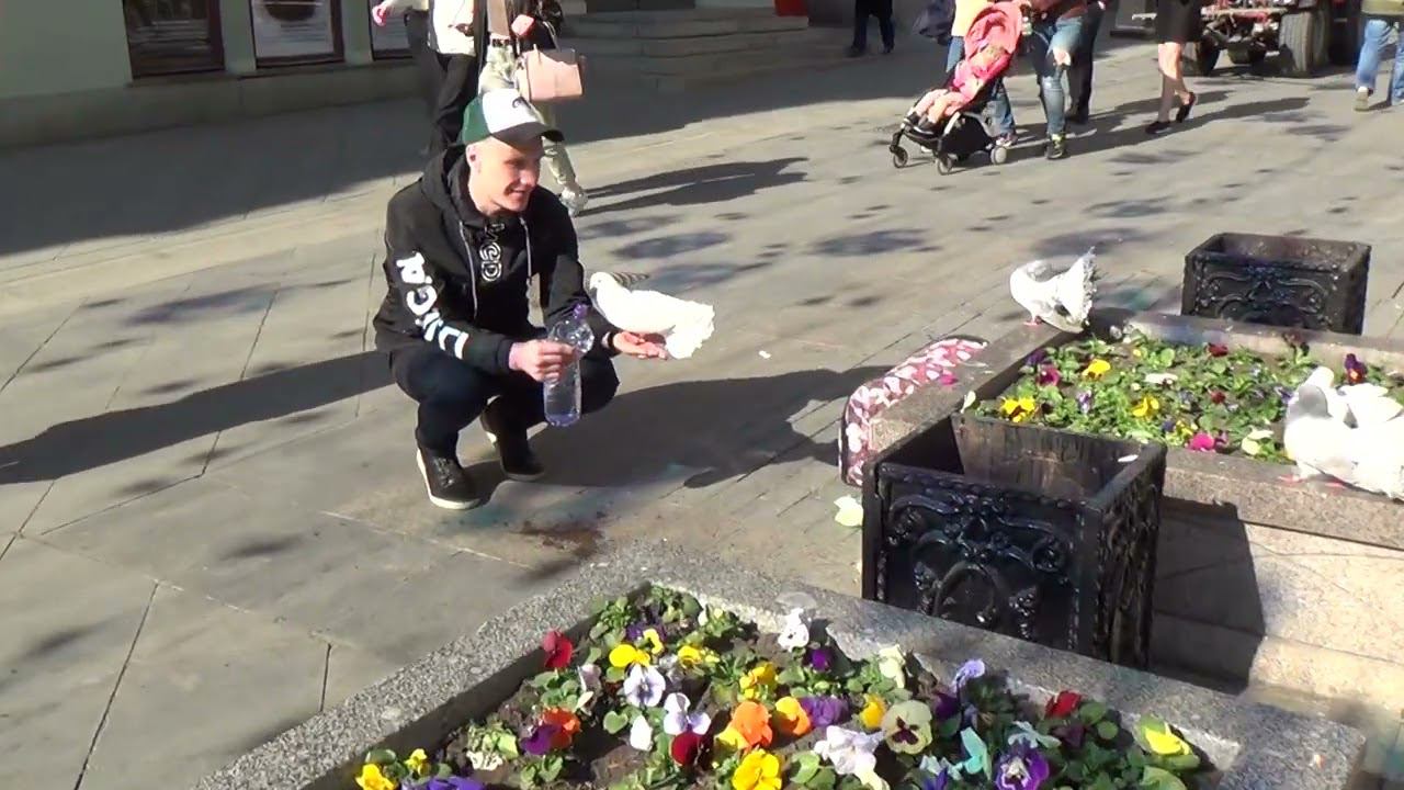 Москва 05 2019 ч4 смотреть онлайн