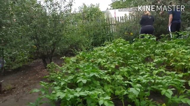 VLOG НА ДАЧЕ У т.ВАЛИ ЖАРИМ ШАШЛЫК смотреть онлайн