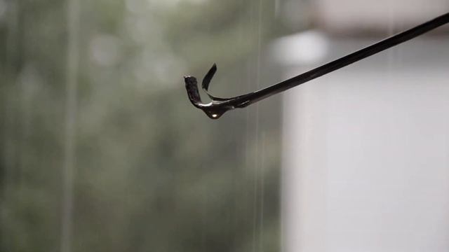 пробная запись видео Nikon D7000. смотреть онлайн