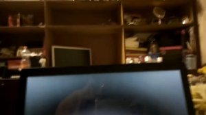 Проблема при установке Windows 10 после логотипа Windows. Черный экран