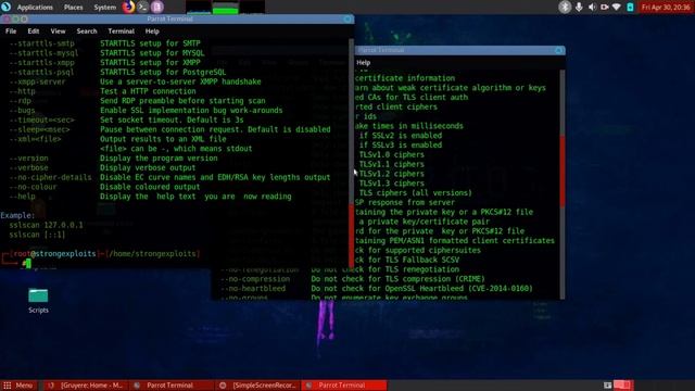 SSLScan Tool: Analyzing SSL for Penetration Testing смотреть онлайн