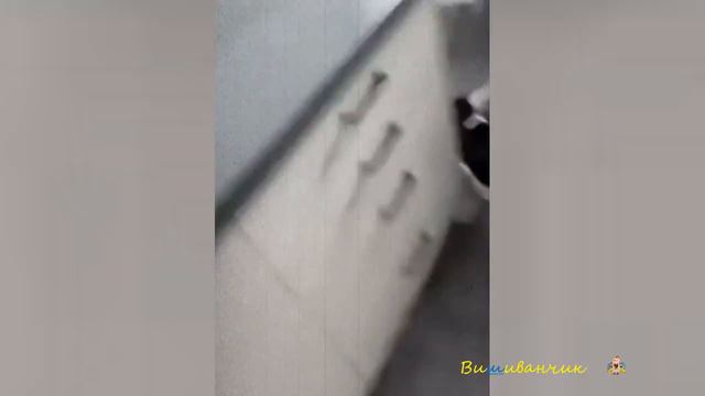 Найкумедніші приколи з веселою озвучкою / не лусніть від сміху смотреть онлайн