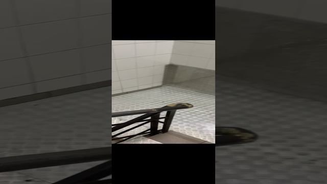 23-11-2023 смотреть онлайн