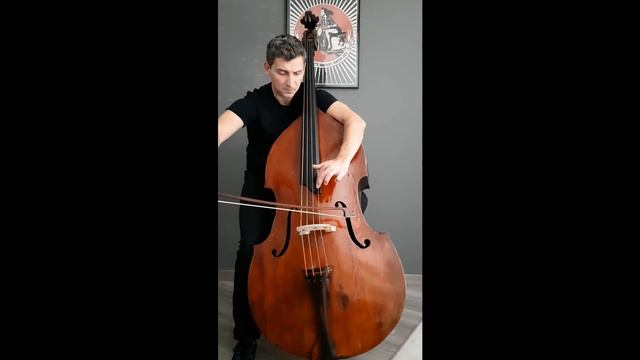 Game of Thrones tribute - House Stark's theme - JB Salles Double Bass смотреть онлайн