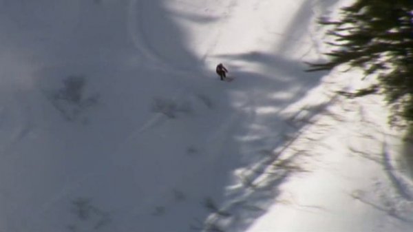 Markus Eder победитель Freeride World Tour 2019 (Япония)