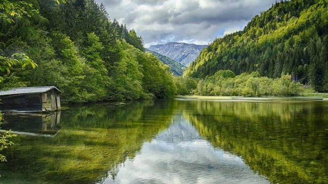 Мой мужчина хочет взять свою маму вместе с нами на море Истории из жизни Жизненные истории смотреть онлайн