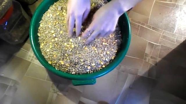 Чем кормить хомяка? Заготавливаю много корма для грызунов. Живой Уголок Насти.