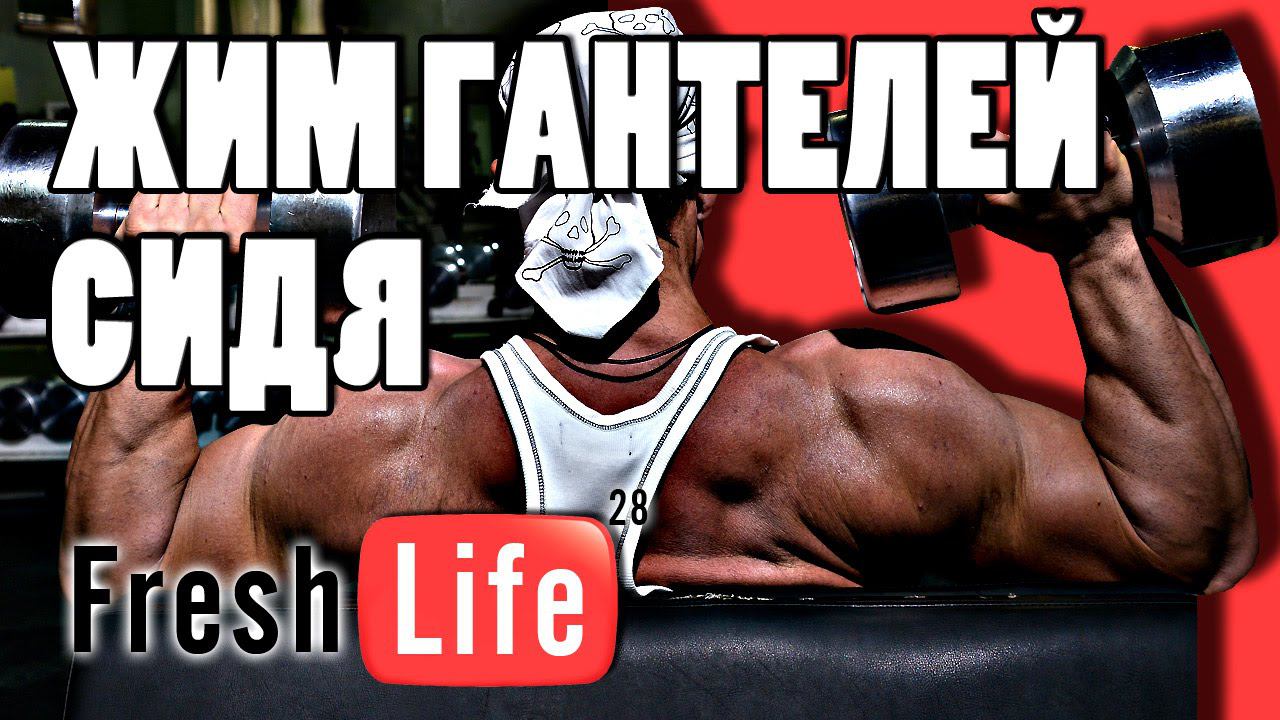 жим гантелей сидя | техника упражнений