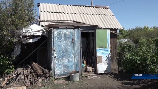 Время "дачной амнистии" истекает смотреть онлайн