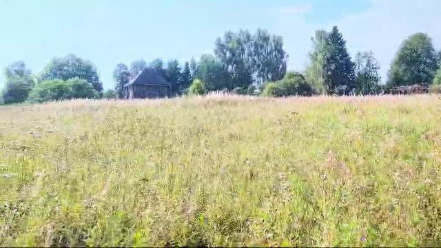 зу :551 д. Мостки смотреть онлайн