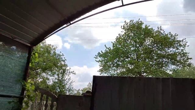 Дискуемо Картофель На Огороде Цены Нету Херсонская Область смотреть онлайн