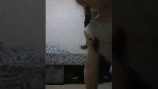 Я делаю кувырок