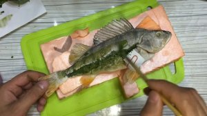 Чучело из рыбы Окунь часть 3