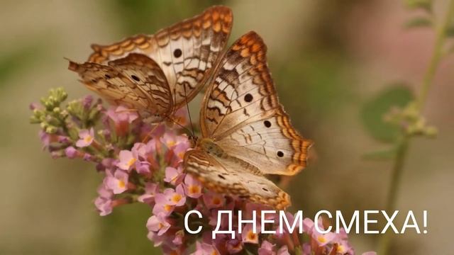 С 1 Апреля! С Днем Смеха! Музыкальная открытка с 1 апреля! ВИДЕО-ОТКРЫТКА С 1 АПРЕЛЯ! ПОЗДРАВЛЕНИЕ смотреть онлайн